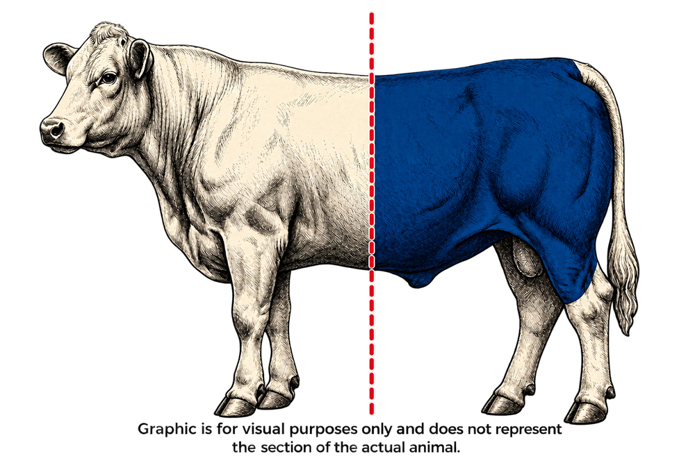 3. SPLIT-HALF (QUARTER)
