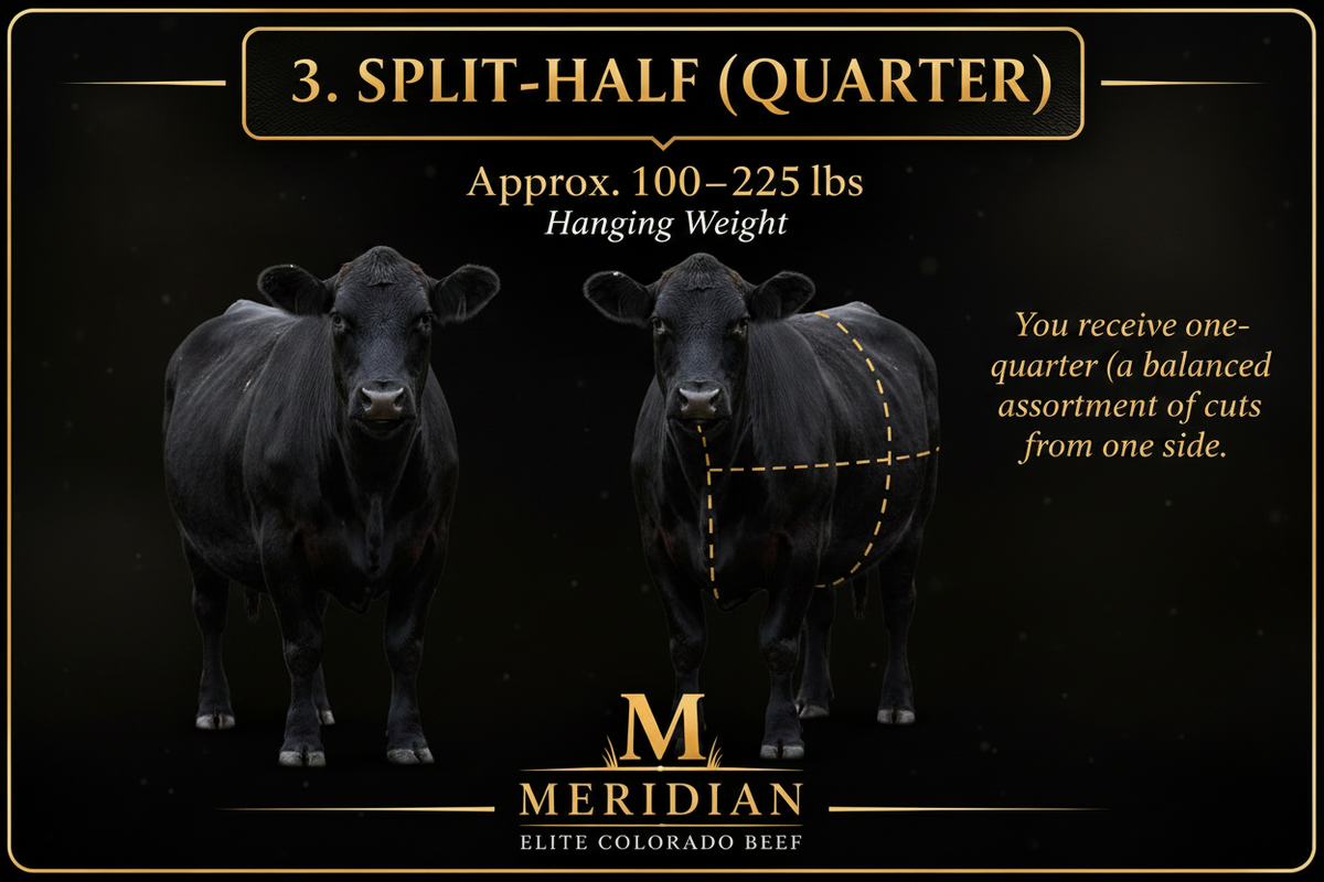 Split Half (Quarter)